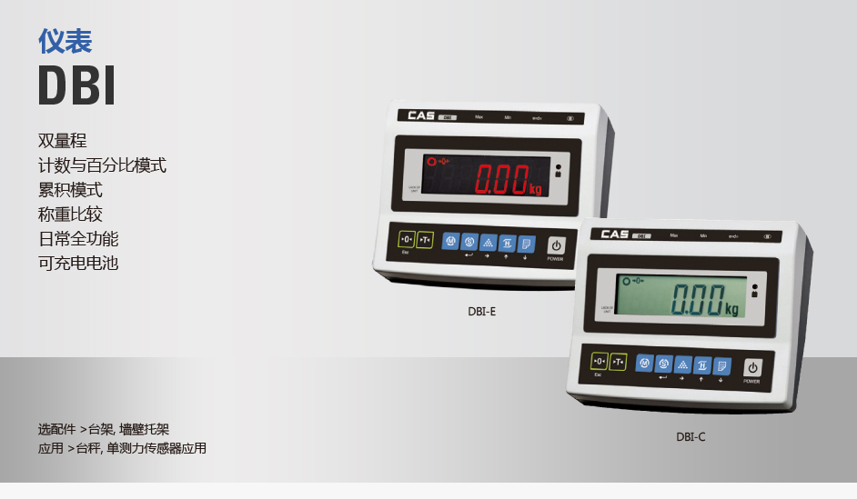 DBI 仪表(图1)