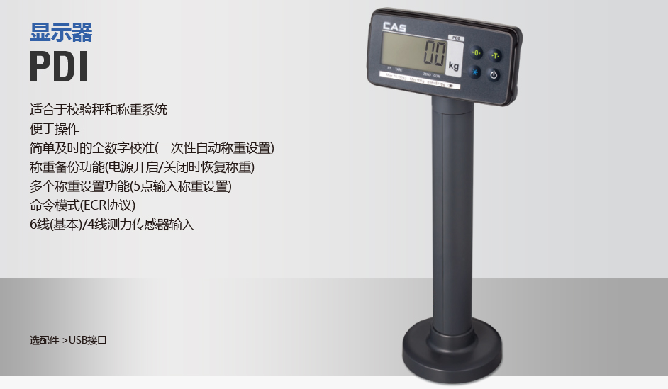 PDI 显示器(图1)
