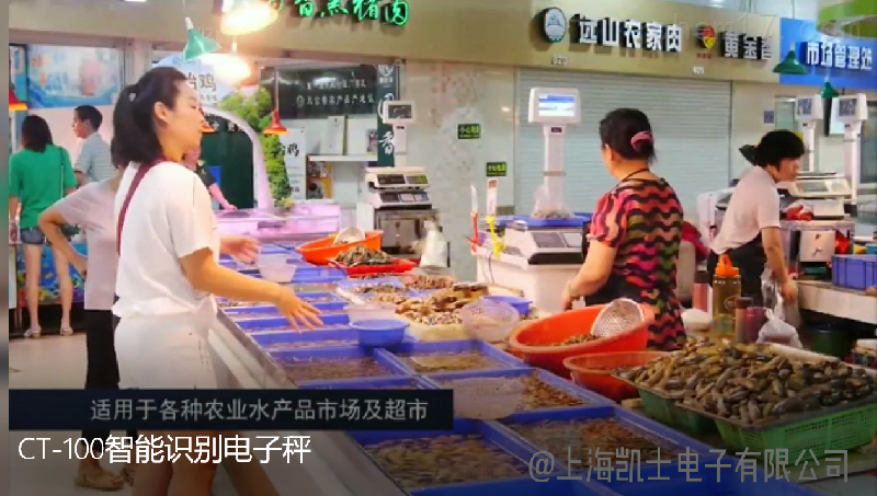 智能自动拍照识别电子秤,智能追溯秤(图5) 智能自动拍照识别电子秤,智能追溯秤(图5)